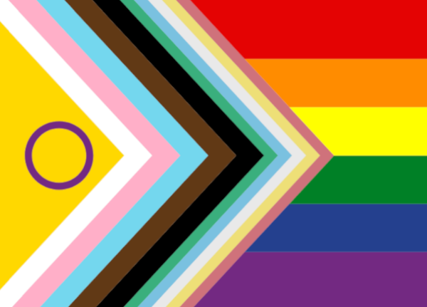 (Bild für) Disability und Inter* inklusive Progress Pride Flagge