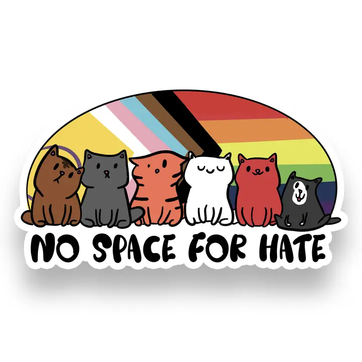 (Bild für) No Space for Hate