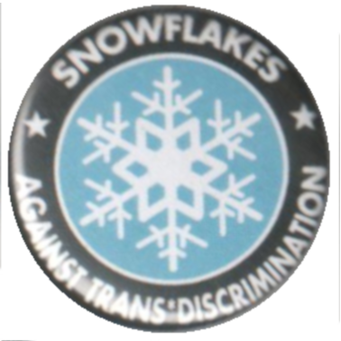 (Bild für) Snowflakes against Trans*discrimination - zum Schließen ins Bild klicken