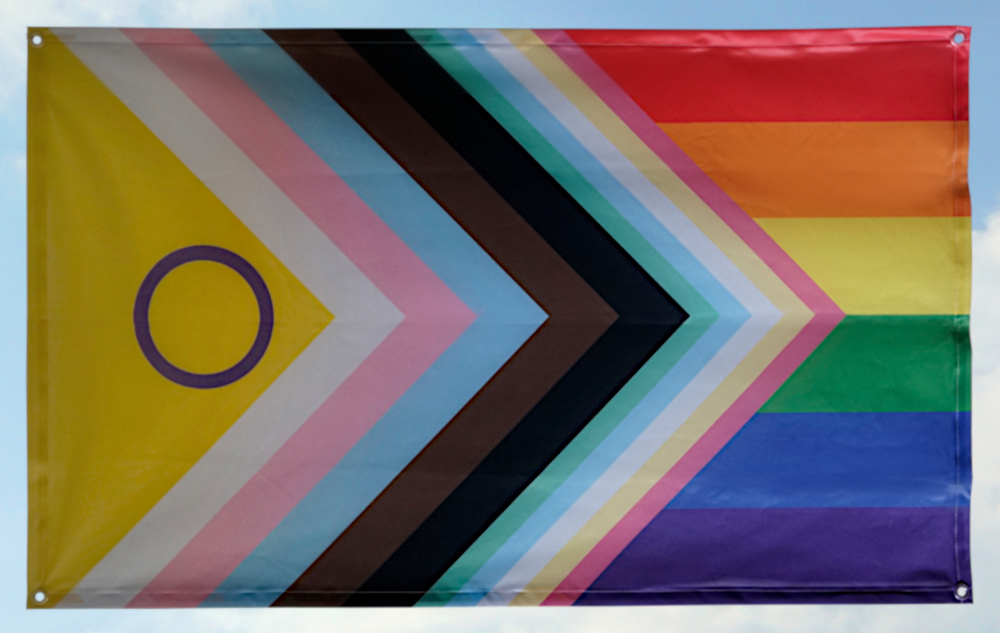 (Bild für) Disability and Inter* inklusive Progress Pride (90x150)