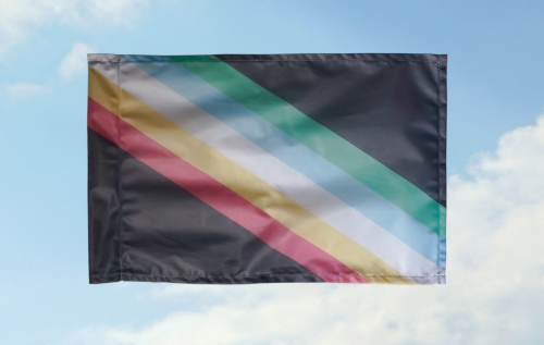 (Bild für) Disability Pride: 60x40 mit Hohlsaum