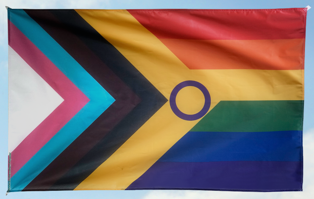 Inter* Progress Pride A groß (95x150) (Bild für) Inter* Progress Pride A groß (95x150)