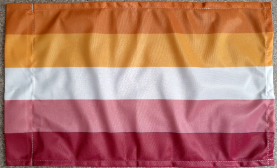 Lesbisch Flagge 30x50