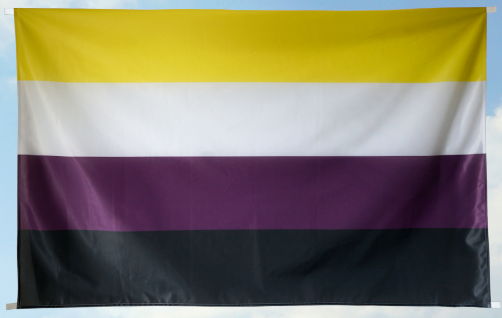 Nichtbinär Pride groß (95x150) (Bild für) Nichtbinär Pride groß (95x150)