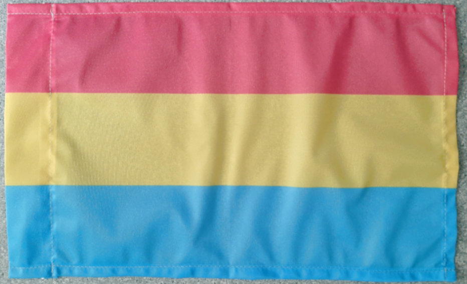 Pansexuell Flagge 30x50