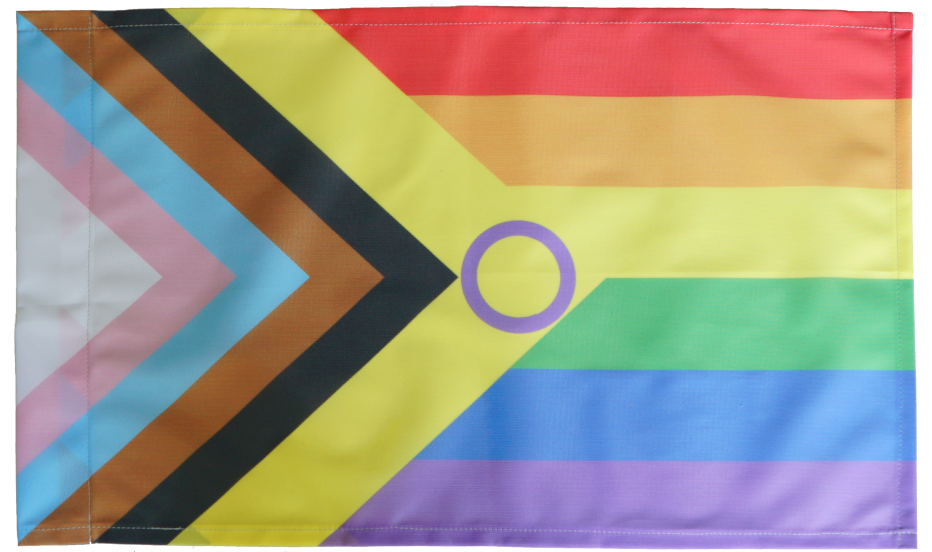 Inter*Progress Regenbogen Flagge 30x50