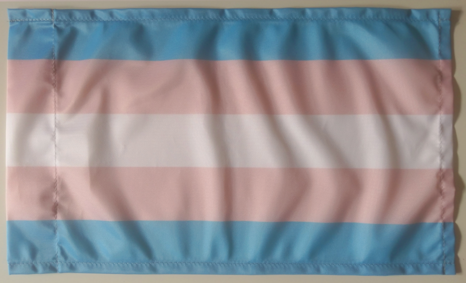 Trans* Flagge 30x50