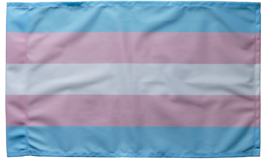 Trans* Flagge ca. 40x65