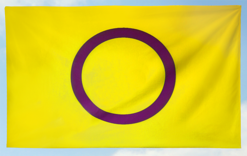 Inter* Pride: groß (95x150cm) (Bild für) Inter* Pride: groß (95x150cm)