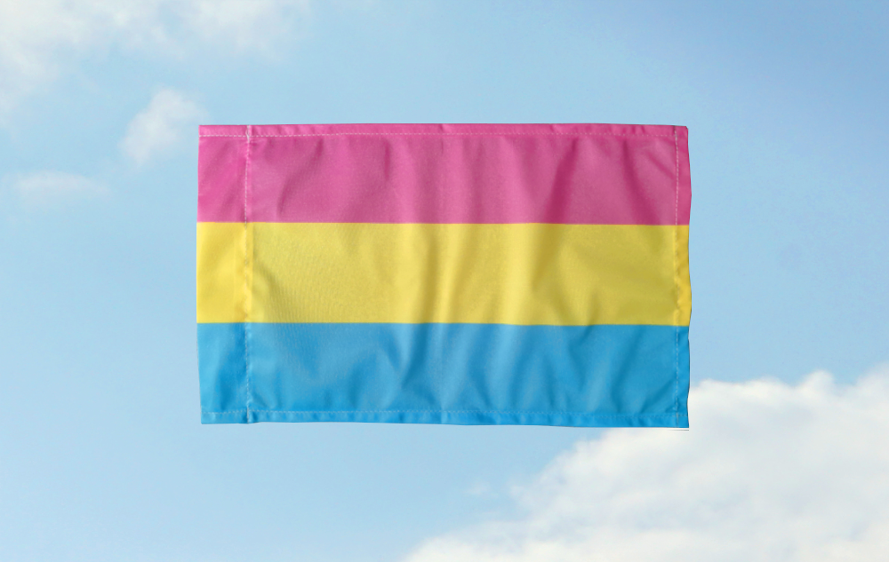 Pan Pride: 30x50 (Bild für) Pan Pride: 30x50