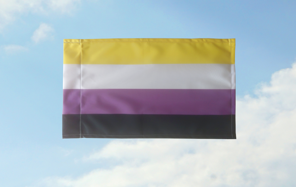 Nichtbinär Pride: kleine bis mittlere Größen (Bild für) Nichtbinär Pride: kleine bis mittlere Größen
