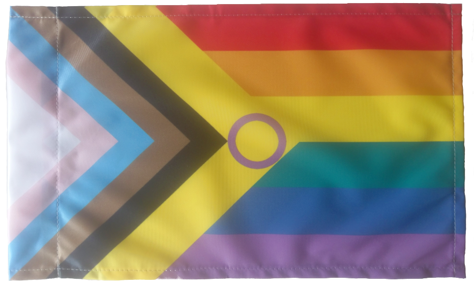 Inter*Progress Regenbogen Flagge 90x150 mit Hohlsaum