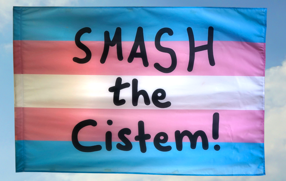 Smash the Cistem groß (95x150) (Bild für) Smash the Cistem groß (95x150)