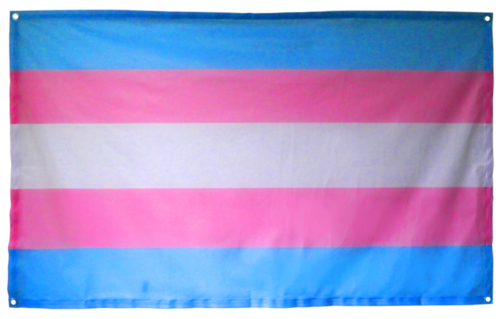 Trans* Pride groß (95x150) (Bild für) Trans* Pride groß (95x150)