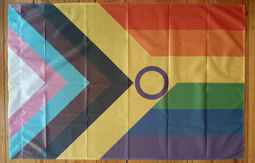 Inter*Progress Pride Flag recycelt 95x145 mit Hohlsaum