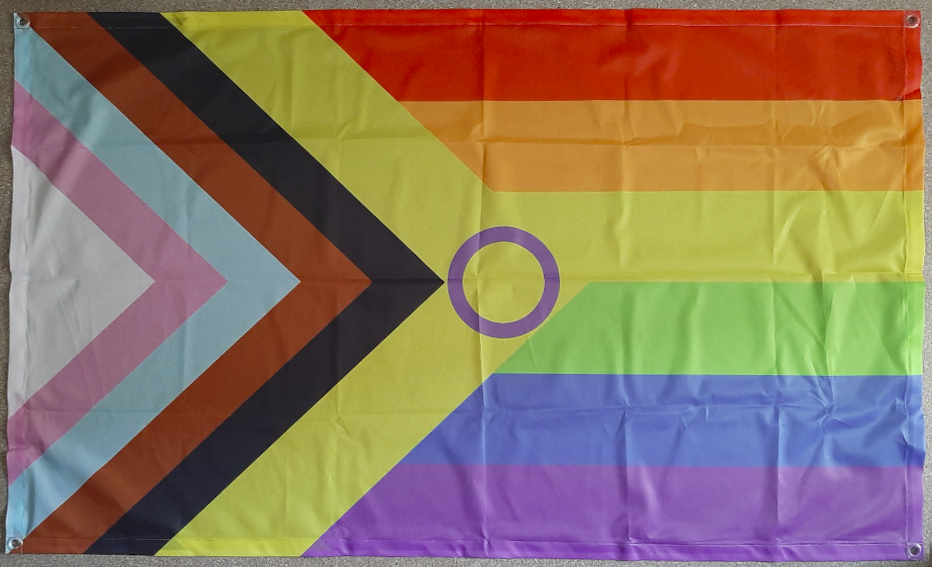 Inter*Progress Regenbogen Flagge 90x150 mit 4 Ösen