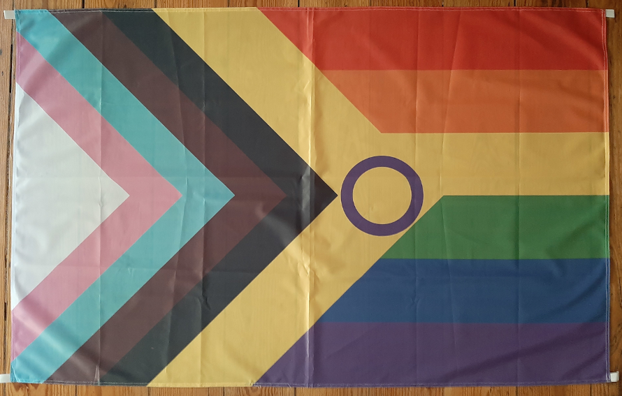 Inter*Progress Pride Flag recycelt 95x150 mit Schlaufen