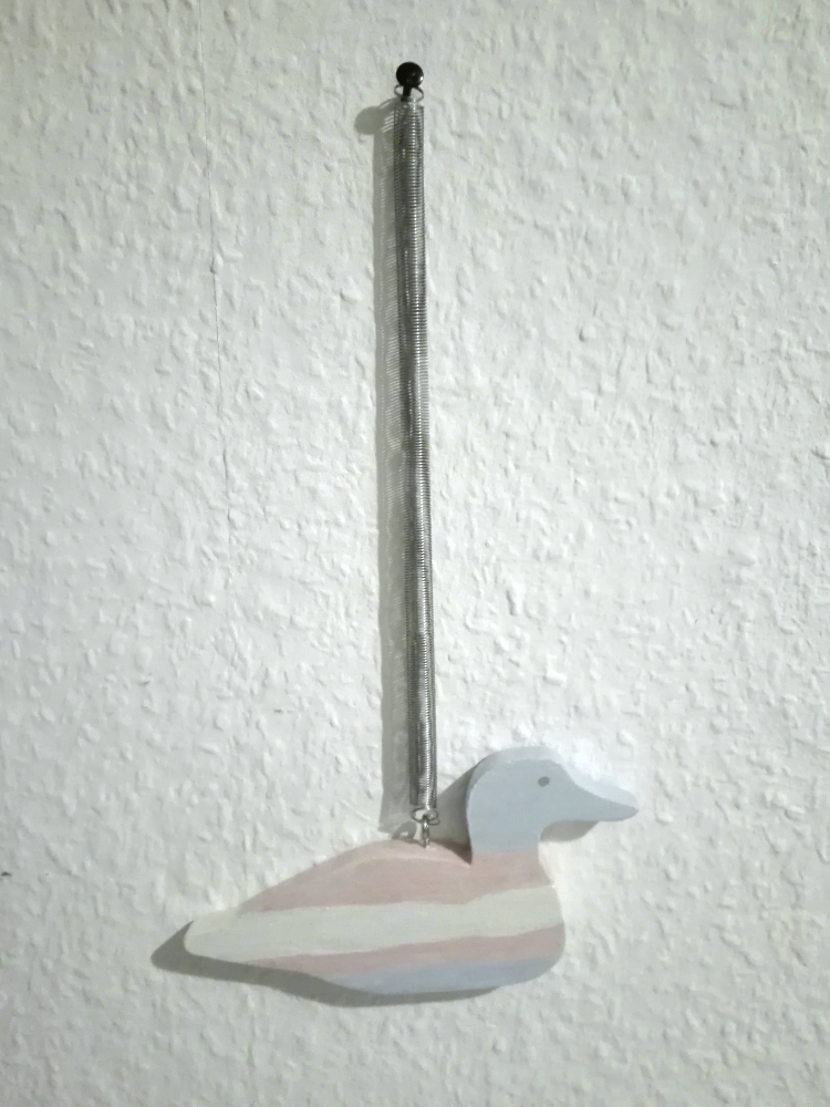 Trans* Ente M (Bild für) Trans* Ente M