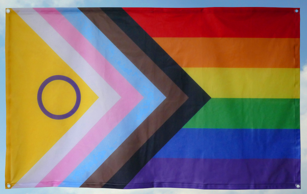 (Bild für) Inter* Progress Pride B groß (95x150)
