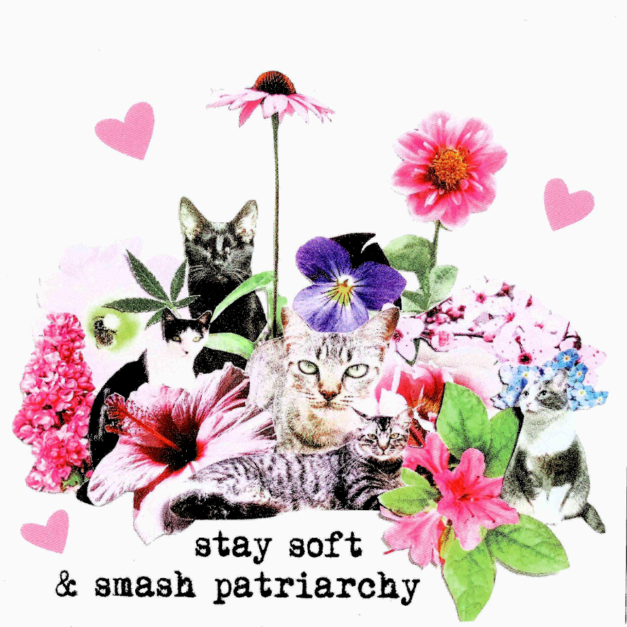 (Bild für) stay soft & smash patriarchy