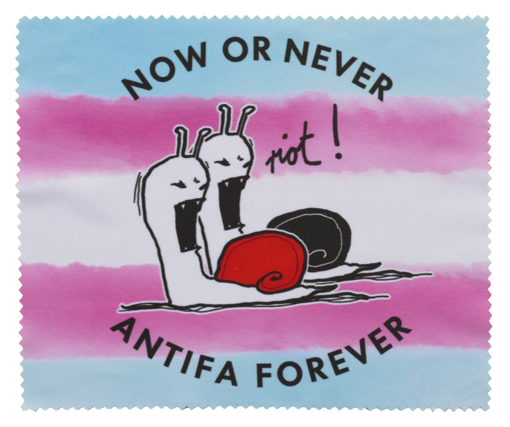 Trans* - Now or never, Antifa forever (Bild für) Trans* - Now or never, Antifa forever
