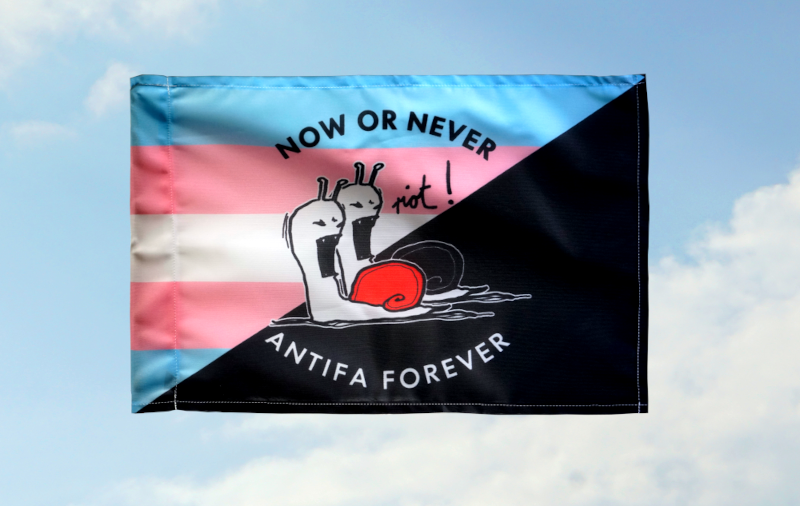 (Bild für) (Trans Anarch@) Now or never, Antifa forever: 40x60