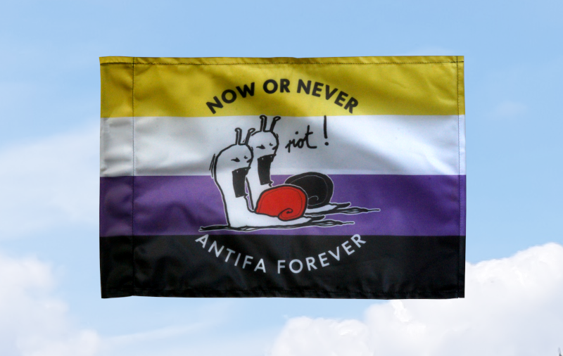 (Nichtbinär) Now or never, Antifa forever: 40x60 (Bild für) (Nichtbinär) Now or never, Antifa forever: 40x60