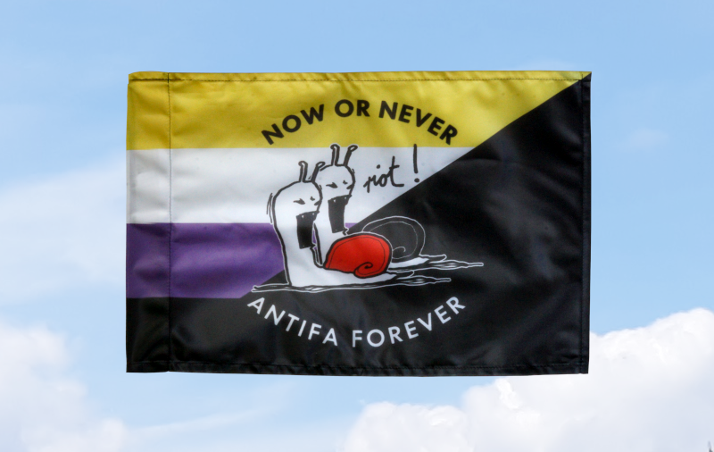 (Nichtbinär Anarch@) Now or never, Antifa forever: 40x60 (Bild für) (Nichtbinär Anarch@) Now or never, Antifa forever: 40x60