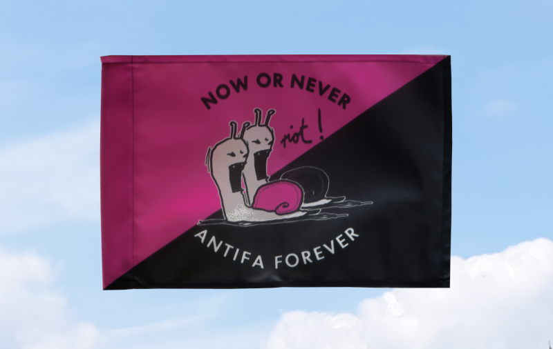 (Bild für) (Queer anarch@) Now or never, Antifa forever: 40x60