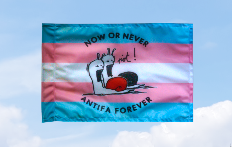 (Trans) Now or never, Antifa forever: 40x60 (Bild für) (Trans) Now or never, Antifa forever: 40x60