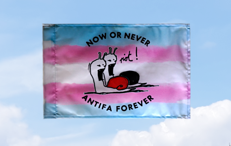 (Bild für) (Trans Aquarell) Now or never, Antifa forever: 40x60