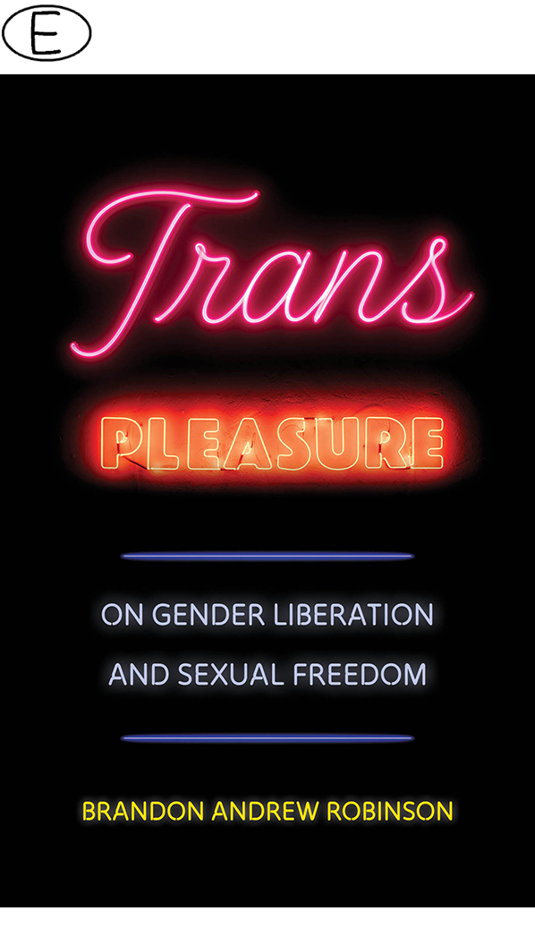 Trans Pleasure (Bild für) Trans Pleasure