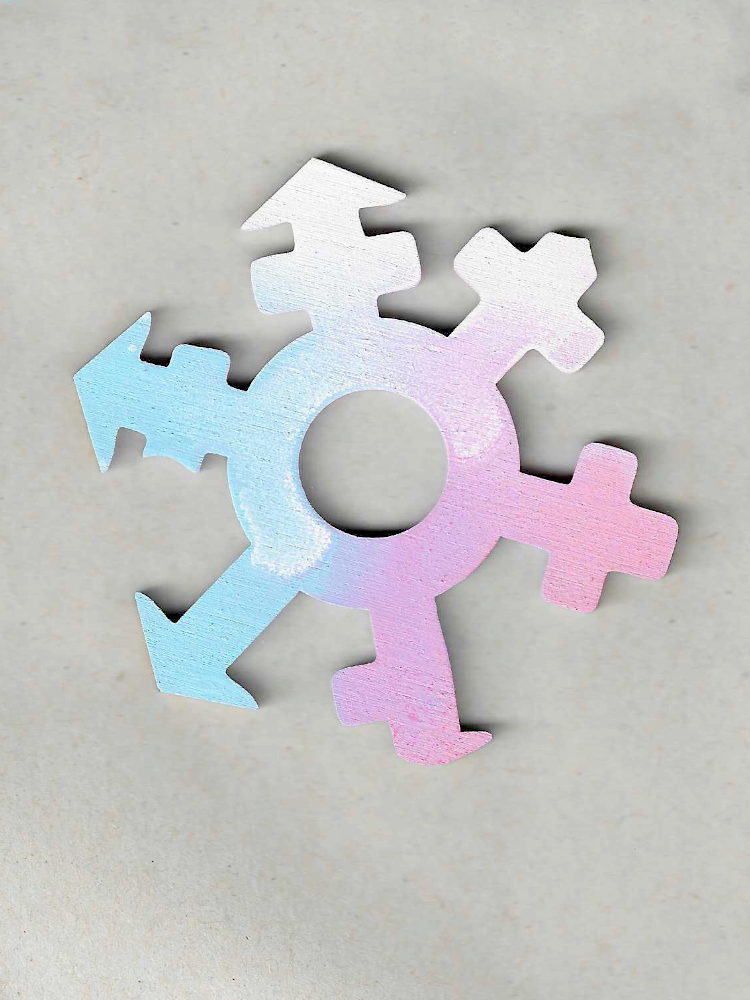 Gendervielfalt Trans* - zum Schließen ins Bild klicken