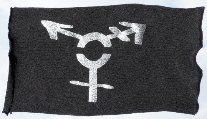 AllGender M silber spiegelverkehrt (Bild für) AllGender M silber spiegelverkehrt