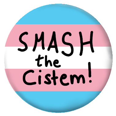 SMASH THE CISTEM - Trans*