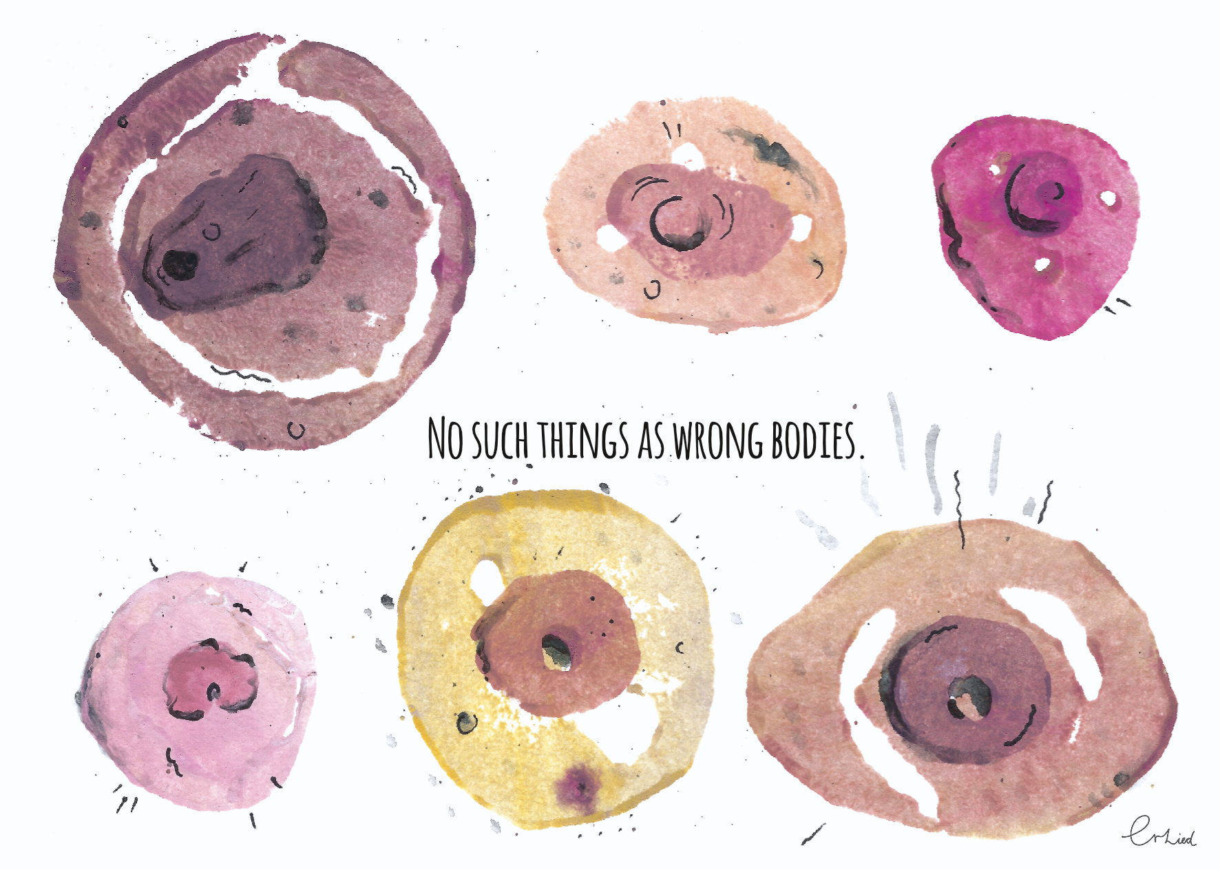 (Bild für) No such things as wrong bodies