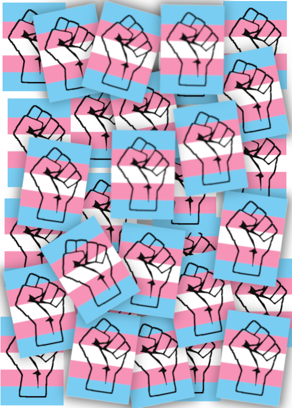 Trans* Pride Faust (Bild für) Trans* Pride Faust