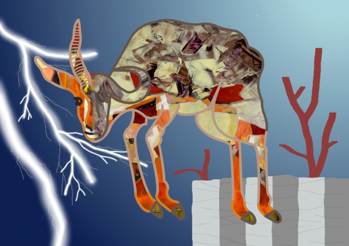 (Bild für) Büffelgazelle