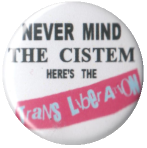 Never Mind the Cistem, Here's the Trans Liberation