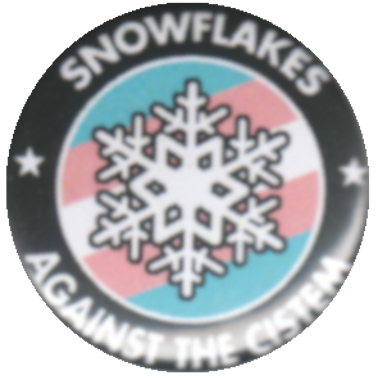 Snowflakes against the Cistem auf Transflagge