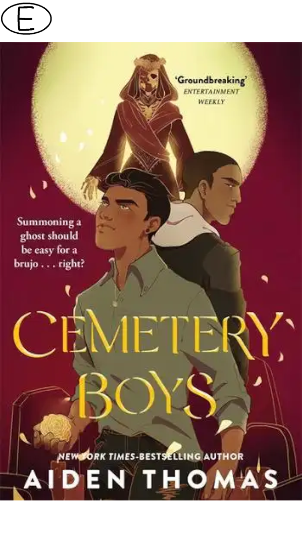 Cemetery Boys (ab 13 J.) (Hardcover)