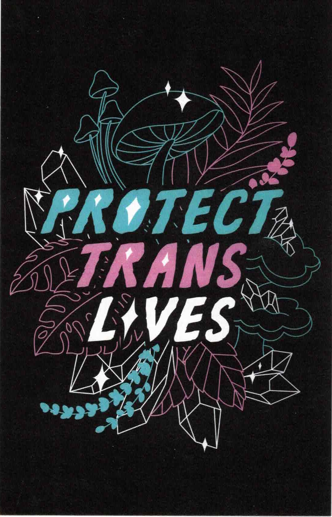 Protect Trans Lives (Bild für) Protect Trans Lives