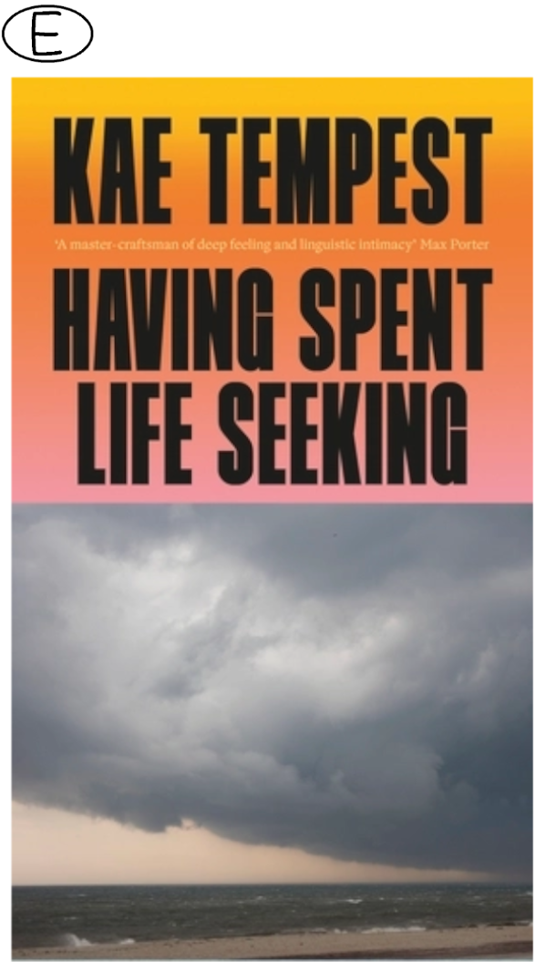 Having Spent Life Seeking (Bild für) Having Spent Life Seeking