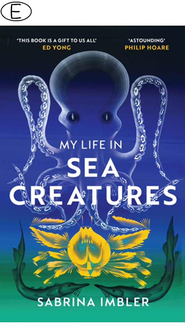 My Life in Sea Creatures (Bild für) My Life in Sea Creatures