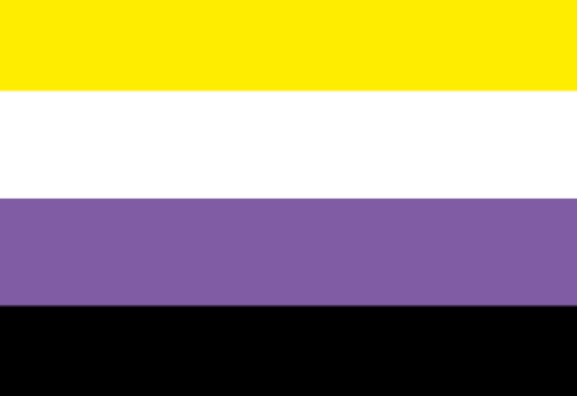 (Bild für) Nichtbinär-Flagge