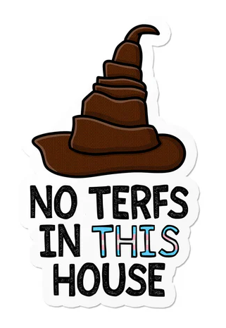 (Bild für) No TERFs in This House Wizard Hat