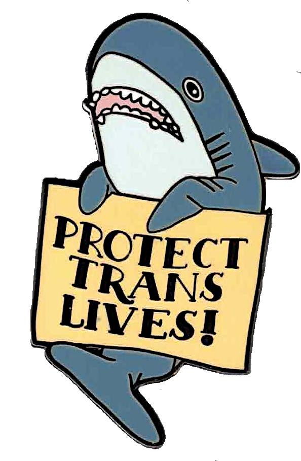 (Bild für) Protect Trans Lives! - zum Schließen ins Bild klicken