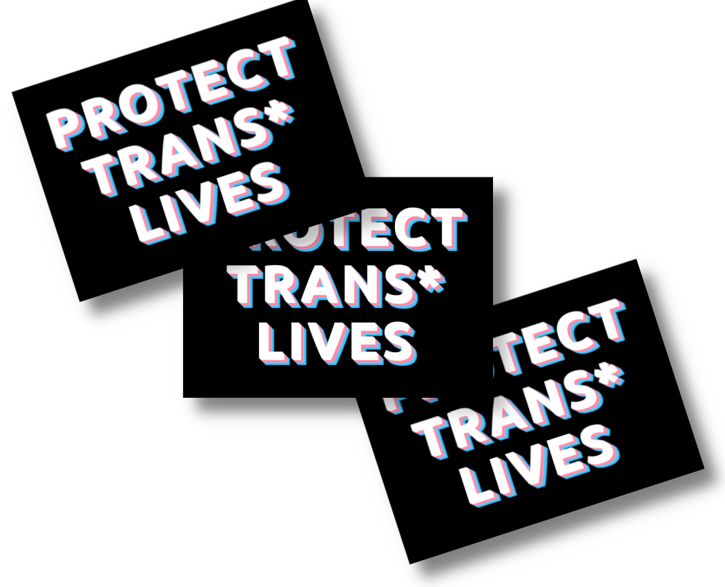 Protect Trans* Lives (auf Schwarz) (Bild für) Protect Trans* Lives (auf Schwarz)