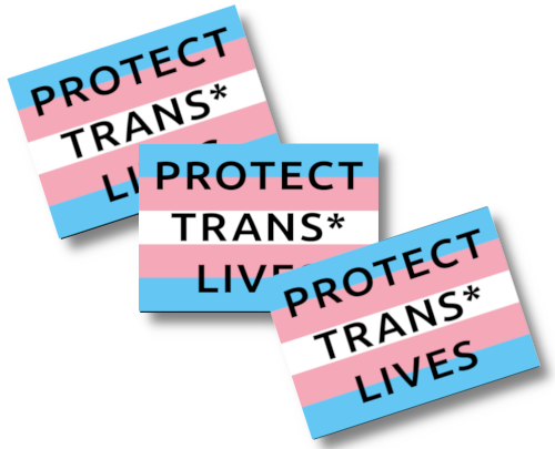 Protect Trans* Lives (auf Trans*flagge) (Bild für) Protect Trans* Lives (auf Trans*flagge)