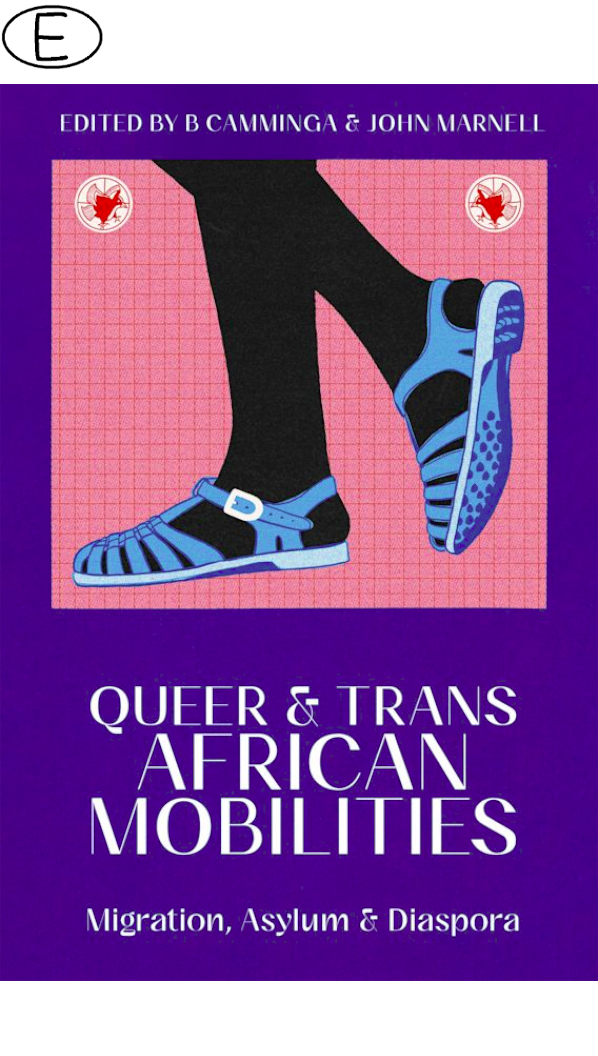(Bild für) Queer and Trans African Mobilities - zum Schließen ins Bild klicken